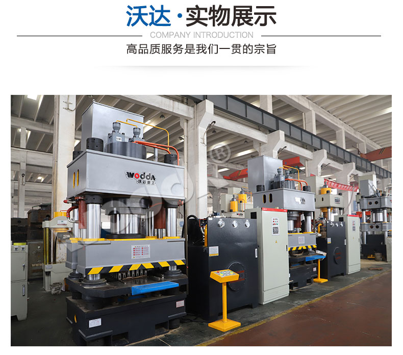 魚(yú)餌壓塊成型液壓機