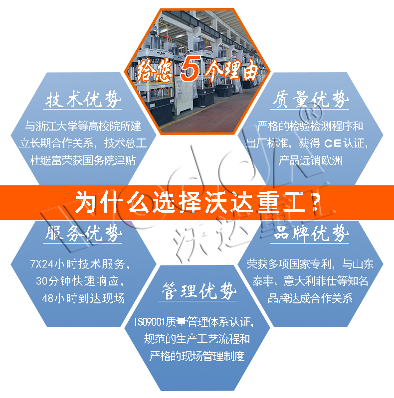 315噸輪胎模具試驗機價(jià)格